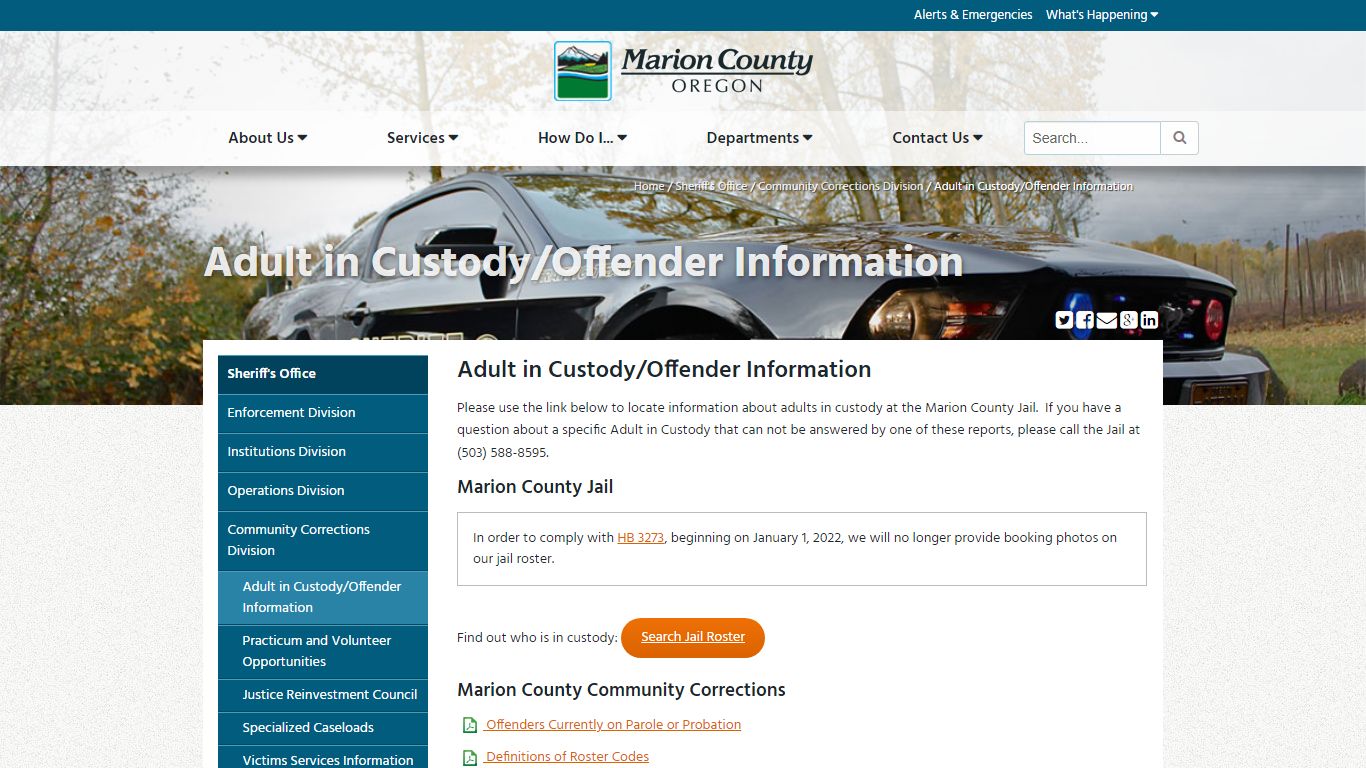 Adult in Custody/Offender Information